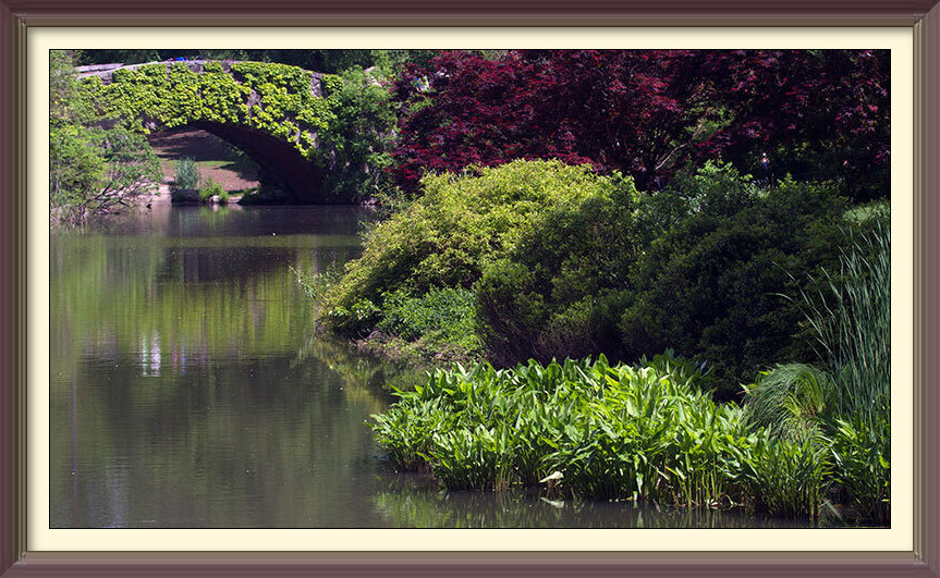 pond bridge