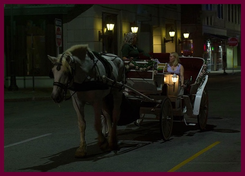 girl horse carriage