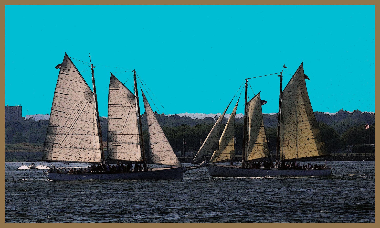 sailboats meet
