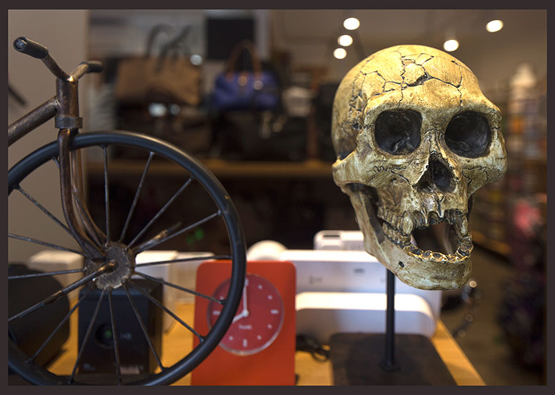 skull and bicycle
