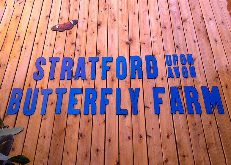 butterfly farm sign